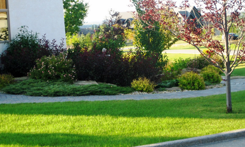 landscaping