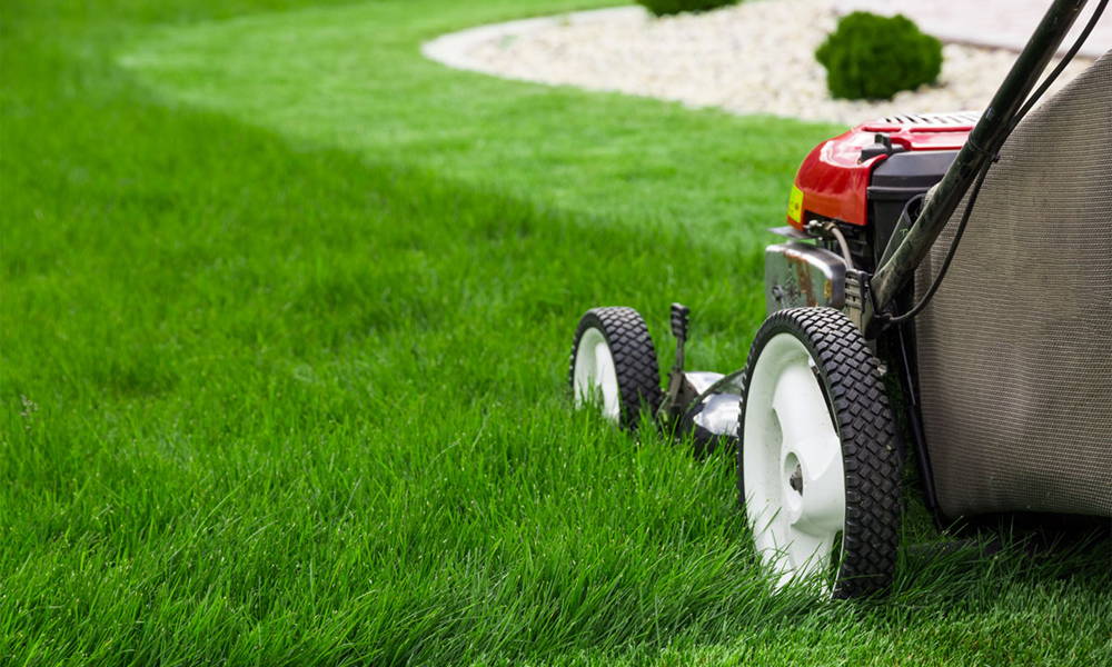 Gardening