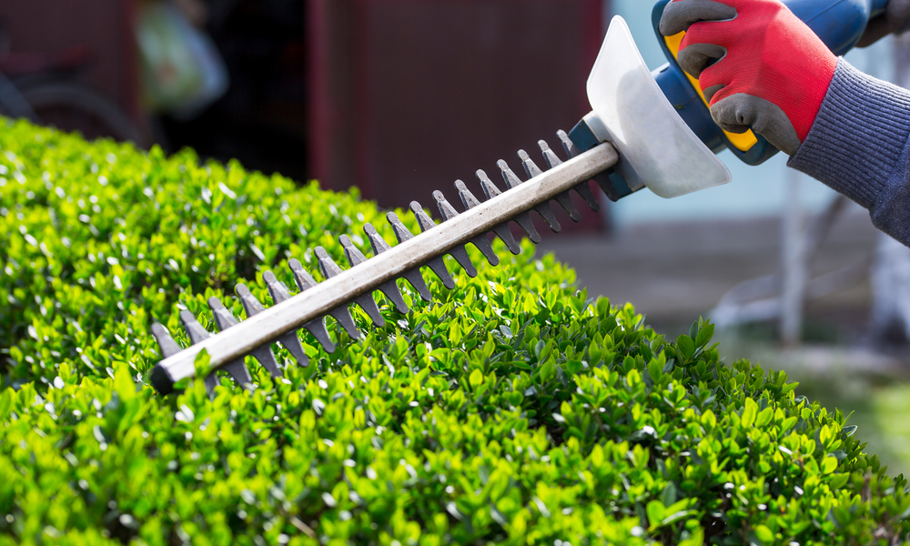 trimming services
